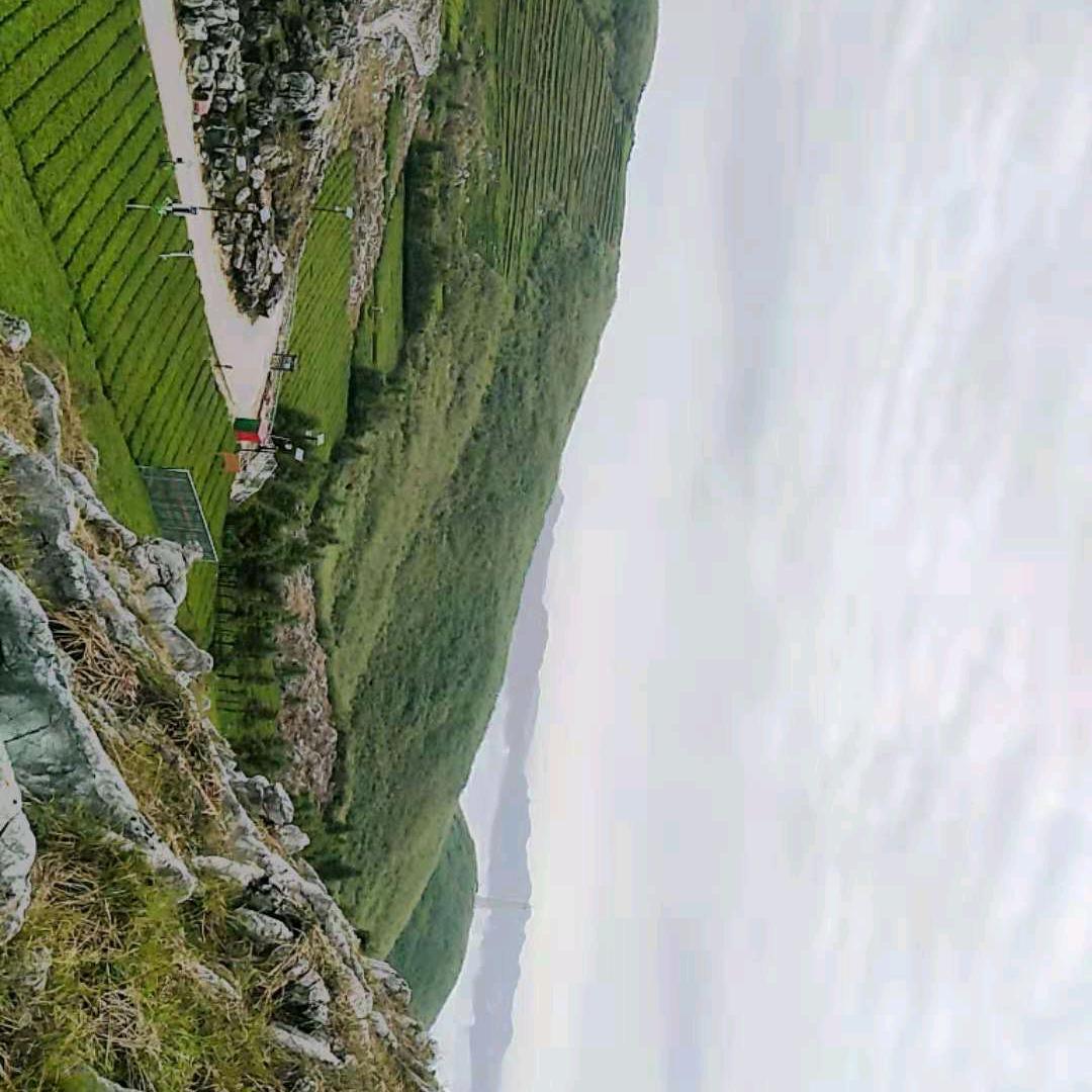 功夫不负有心人