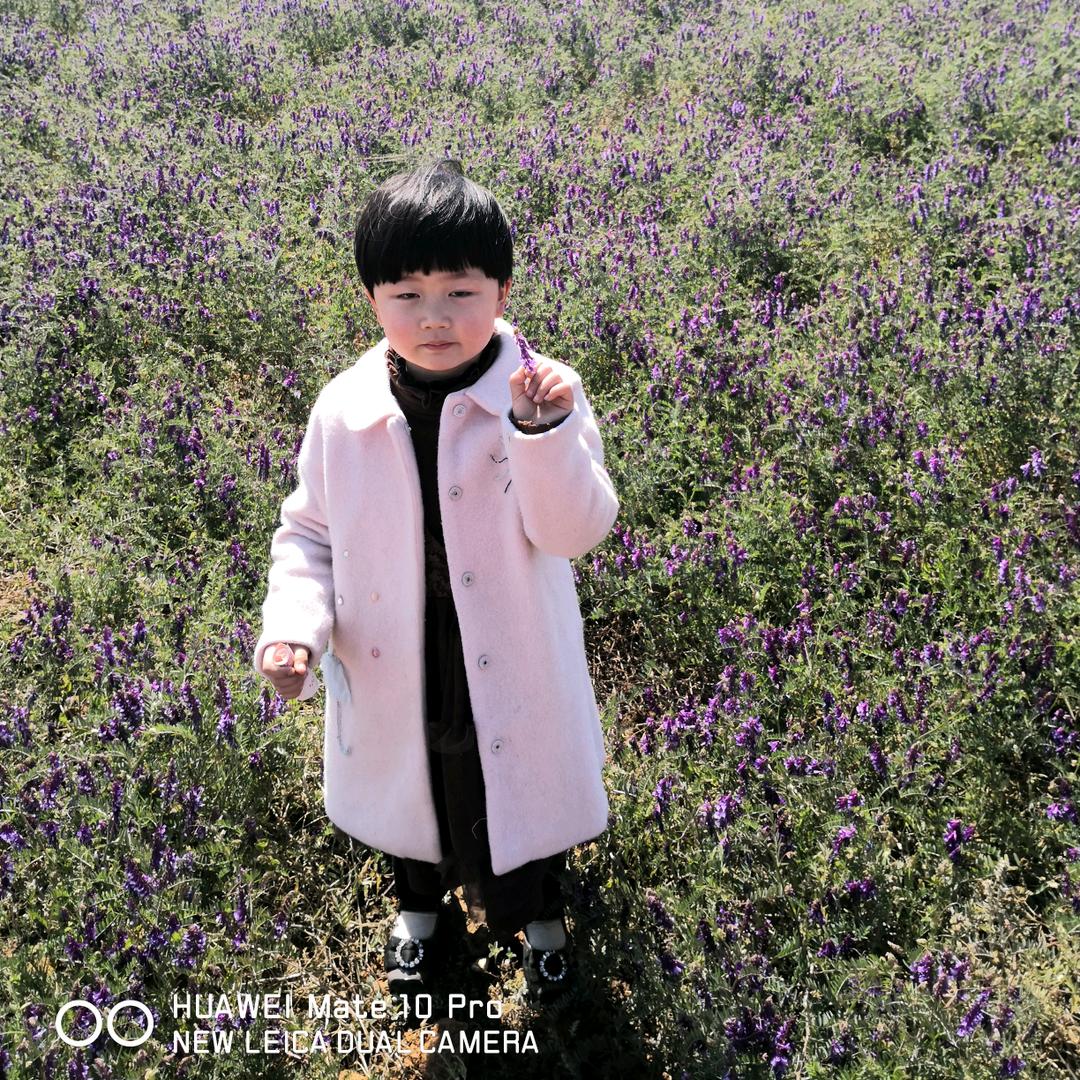 快乐生活每一天