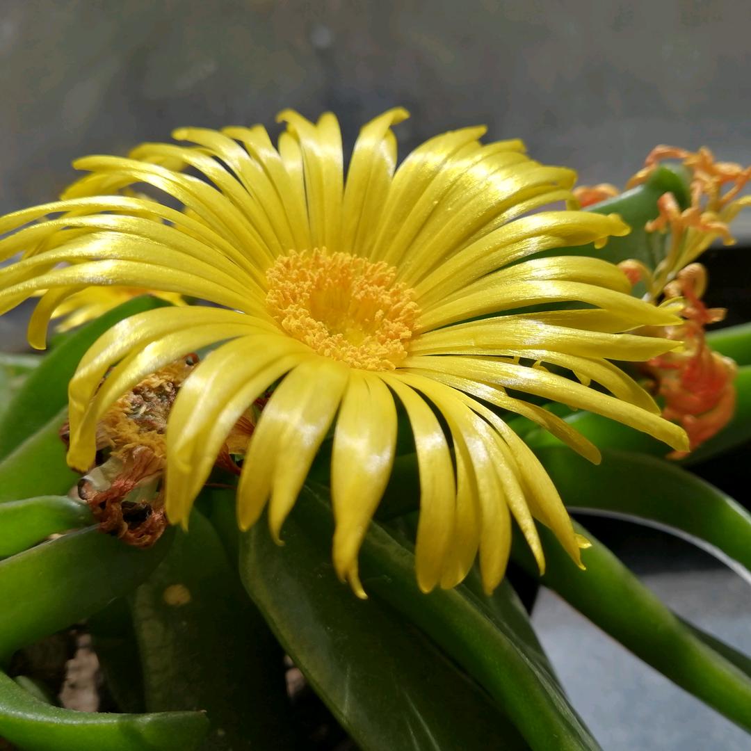 沁县千里鞋行华华