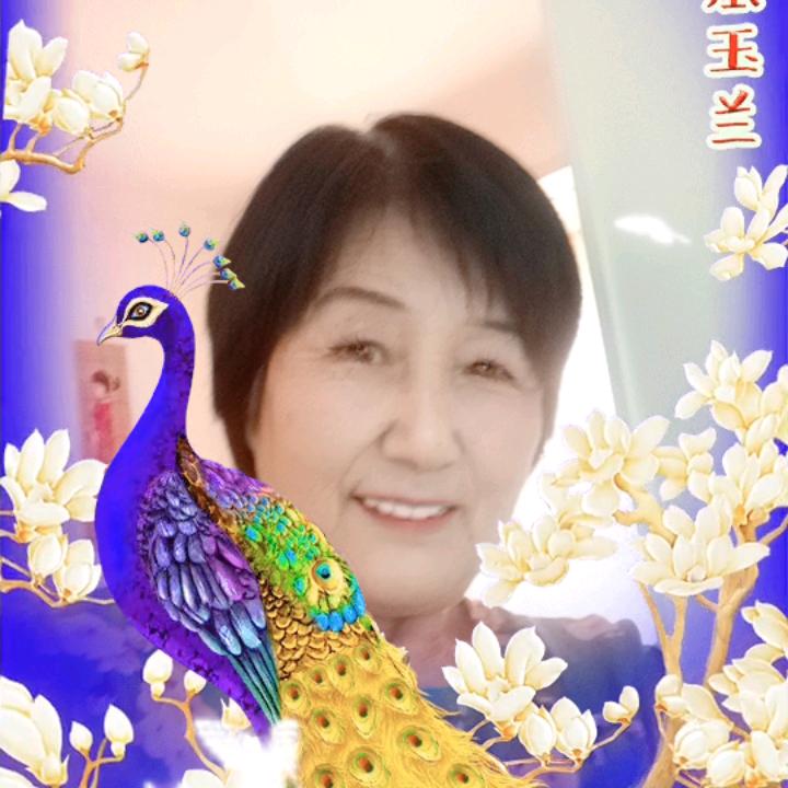 冰山雪莲丶