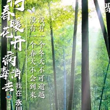 坐看云涌头像