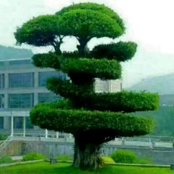 用户6634987927669