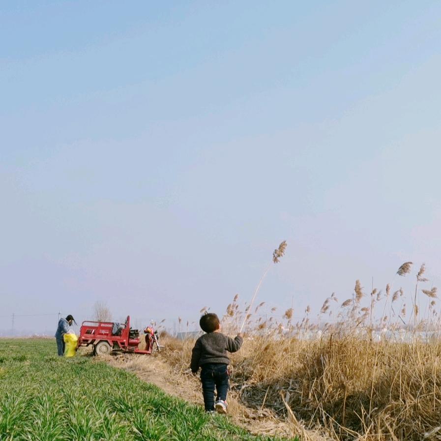 🌈随心所欲🌈