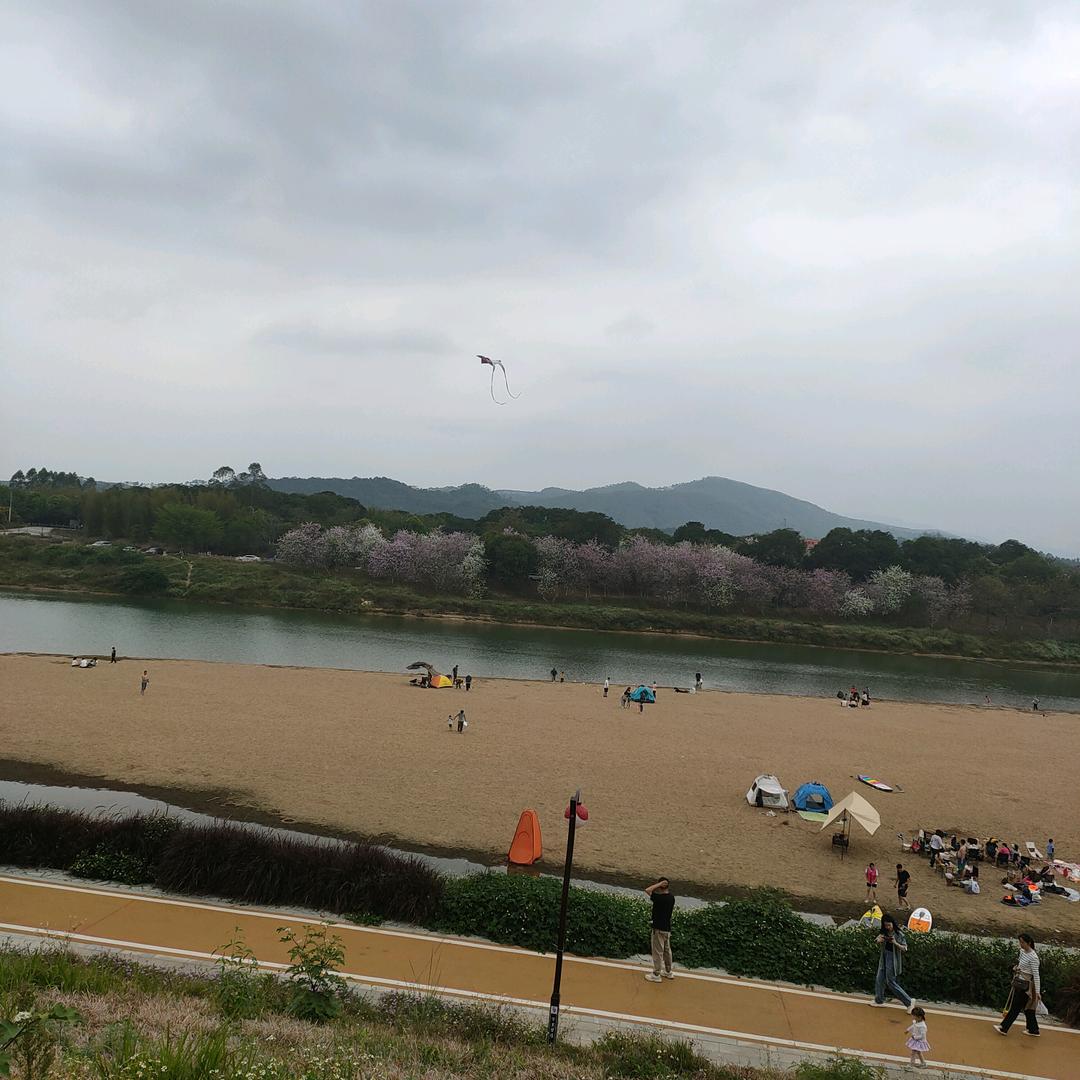 肥