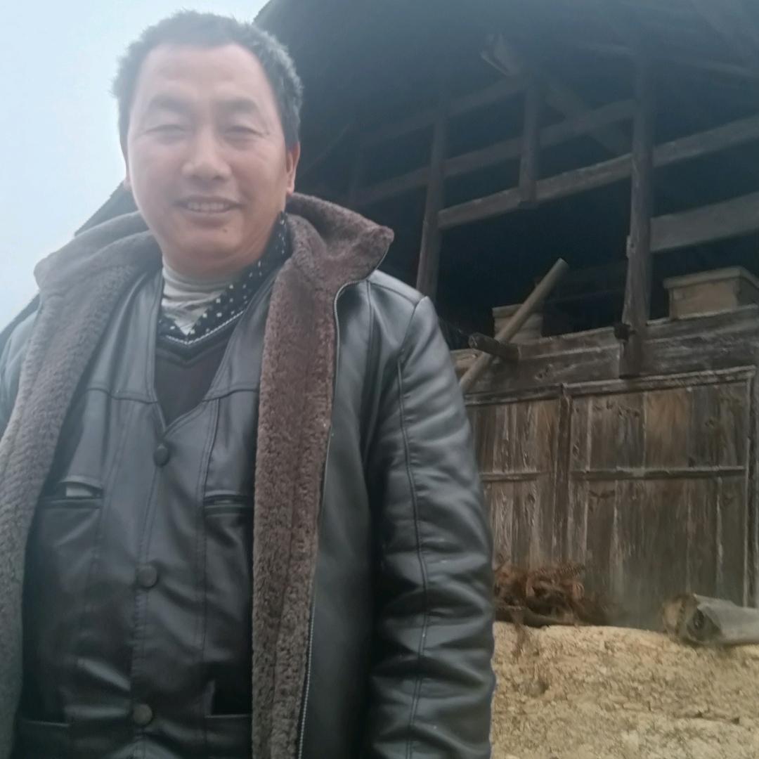 张帅哥