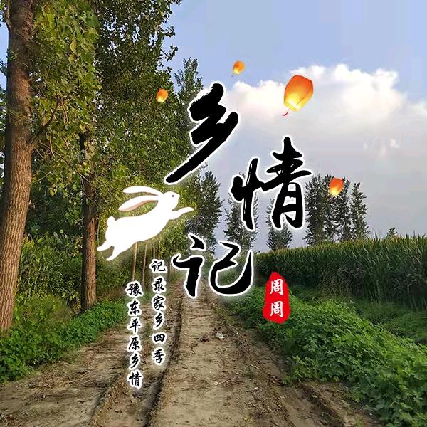 乡情百货