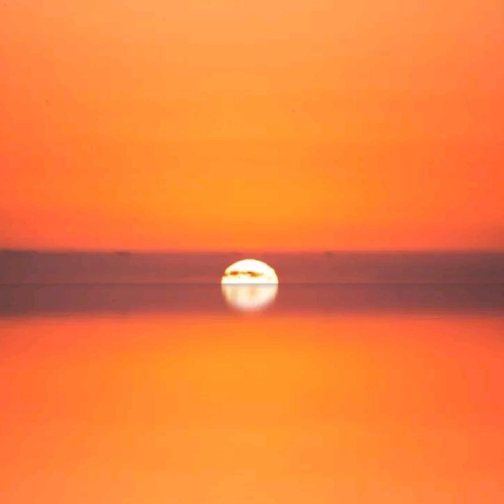 邵蕾-向日葵🌻