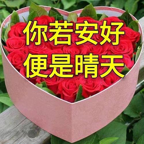 一切随缘，开心就好