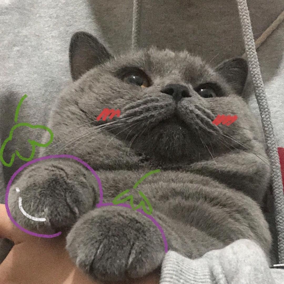 道一