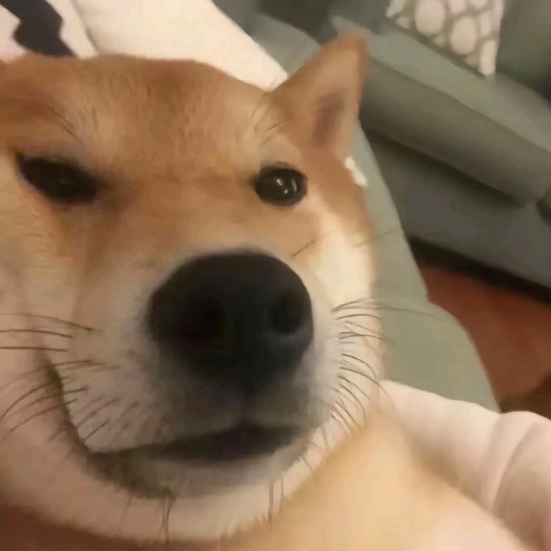 戏如人生
