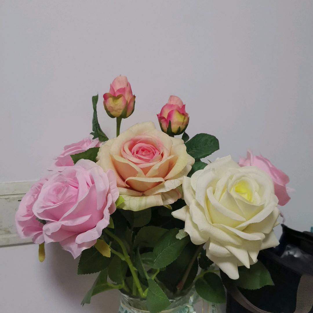 感恩的心