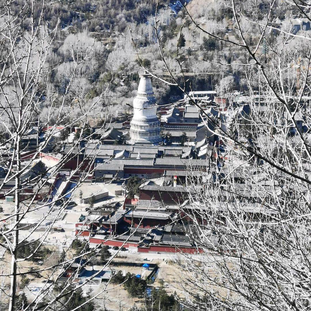 （王记）批发洗面凉皮