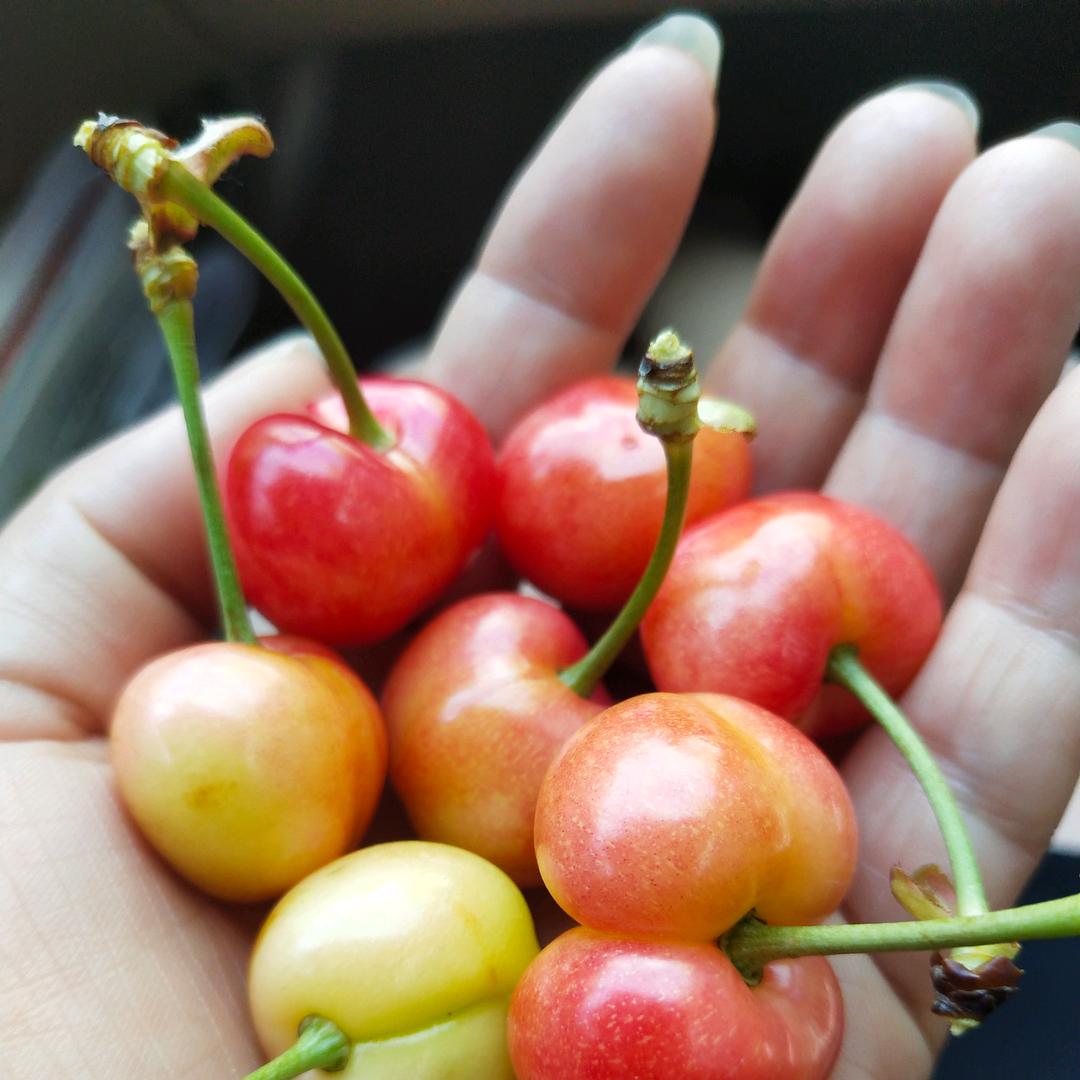 美缔可化妆品护肤中心（美韵）