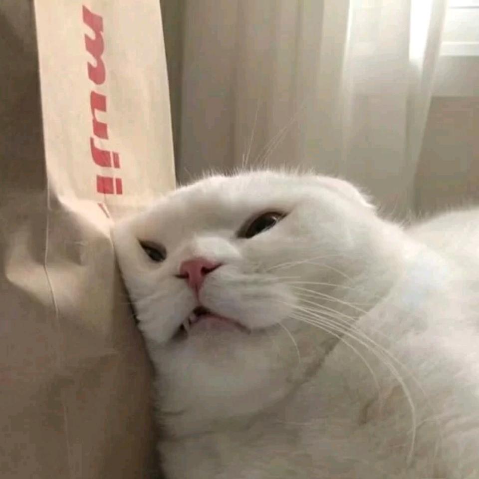 蔺沐