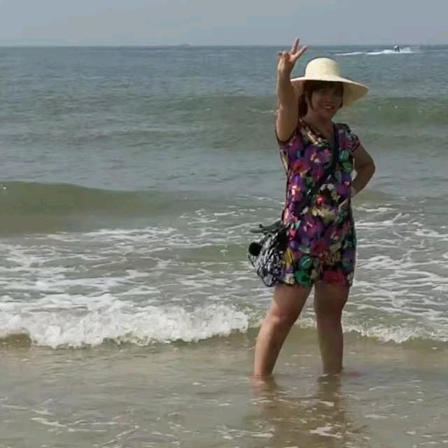 燕子（拒聊天）