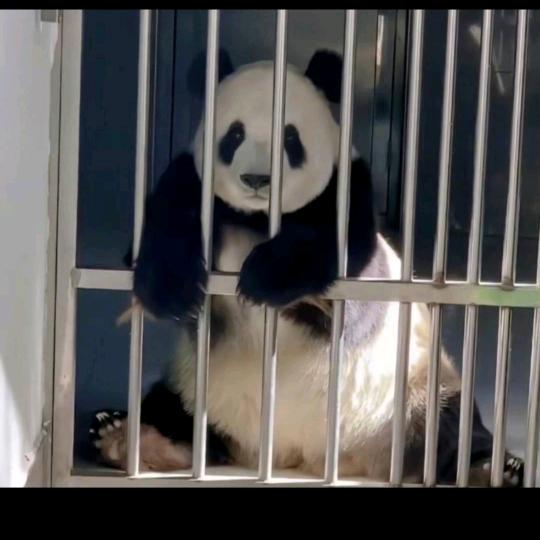 王王王王王～头像