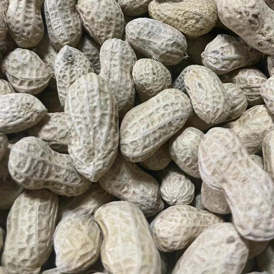 珠川莆香源煎包店