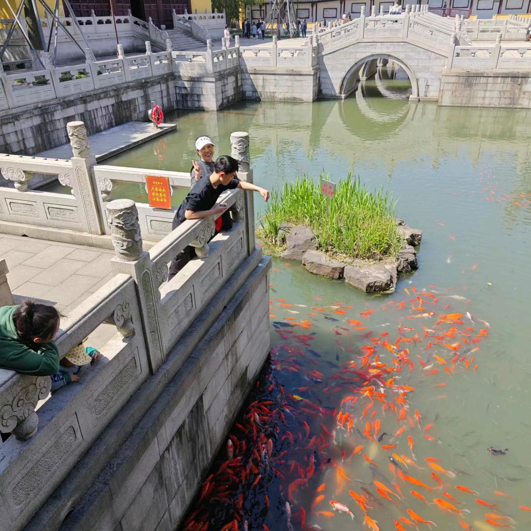 阿宝