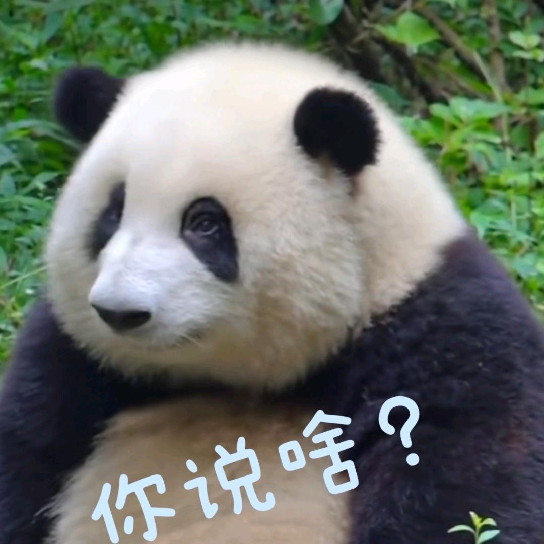 用户名20924440头像