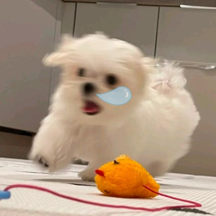 半个酒窝^_-