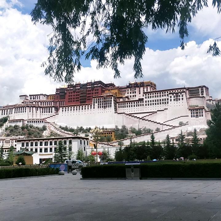 🇹🇩哇燕💞当知