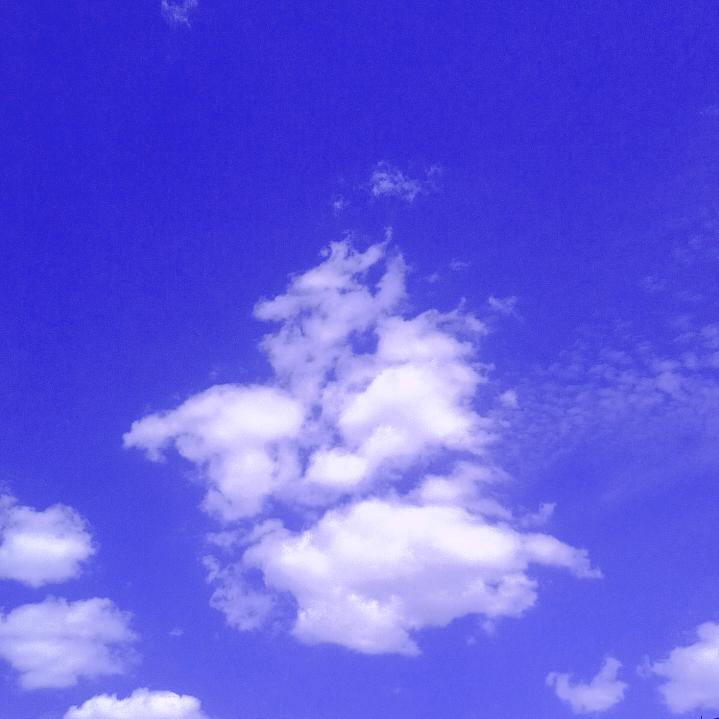 银湖伴月