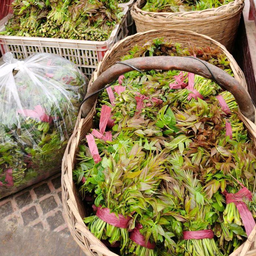 每天都是精彩人生