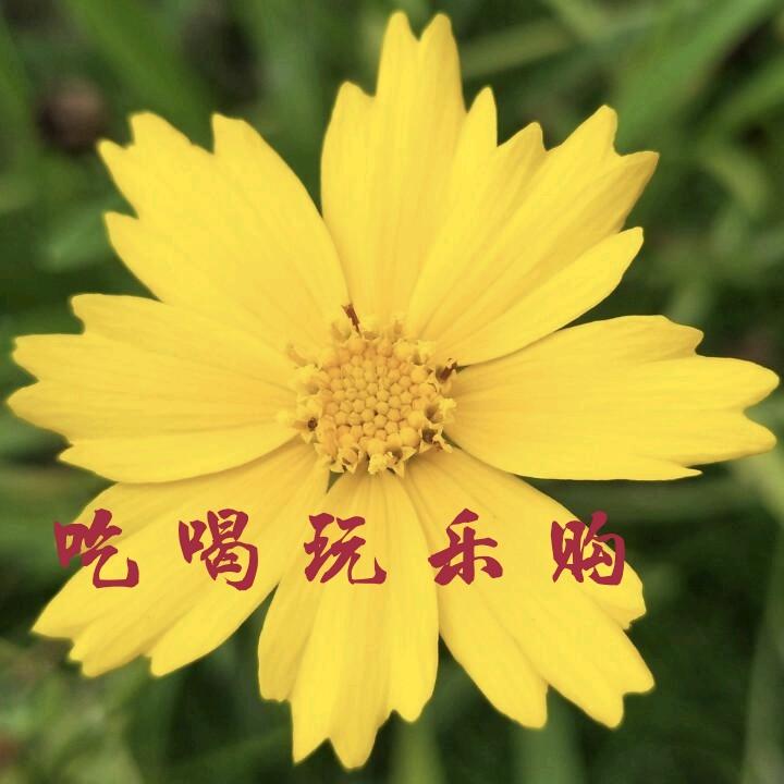 嗨吃武夷（南平文旅上大分）