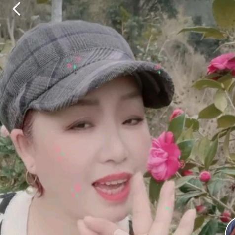 漫天飞雪🍃🌸🍃🌸🍃