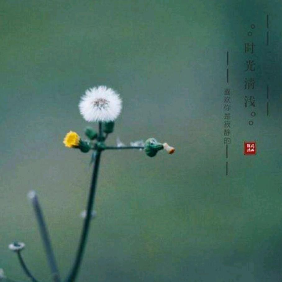 FH时光