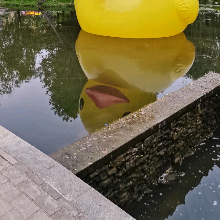 用户5413070518242