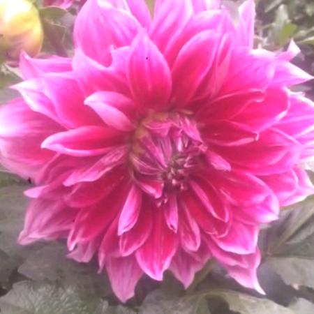 滑县白蝶管业暖通运营中心