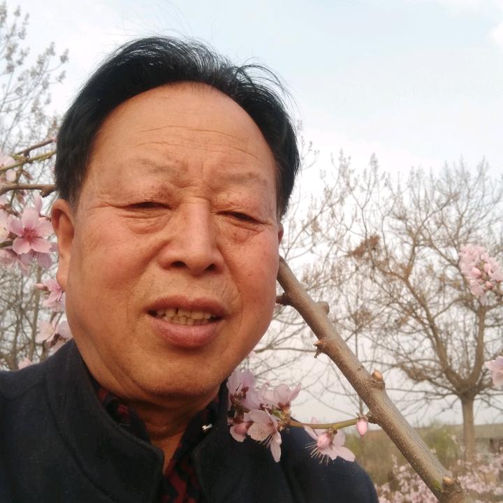 崔文斌