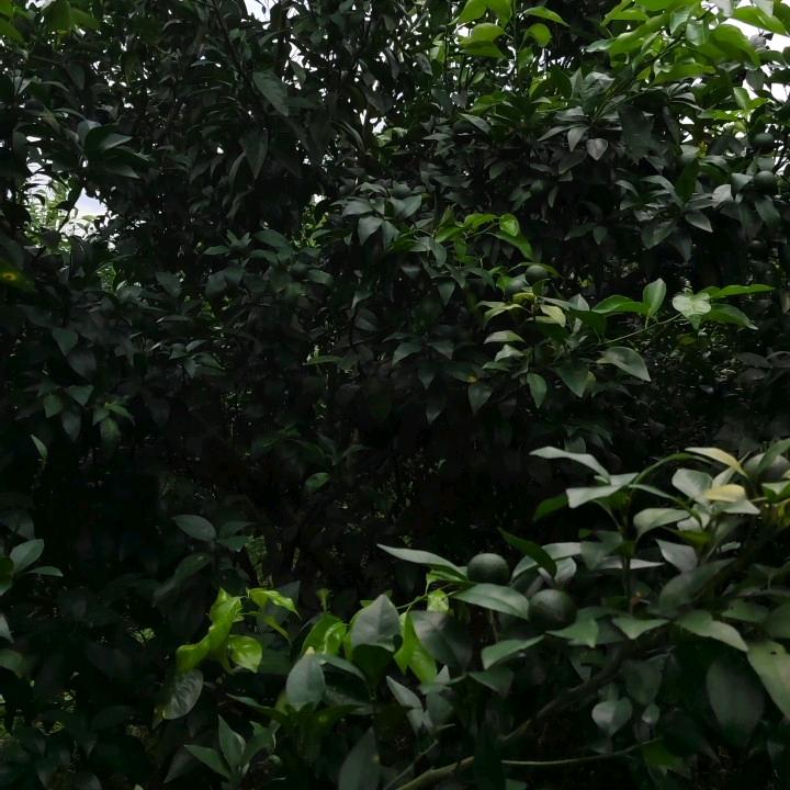 幸福才是永久