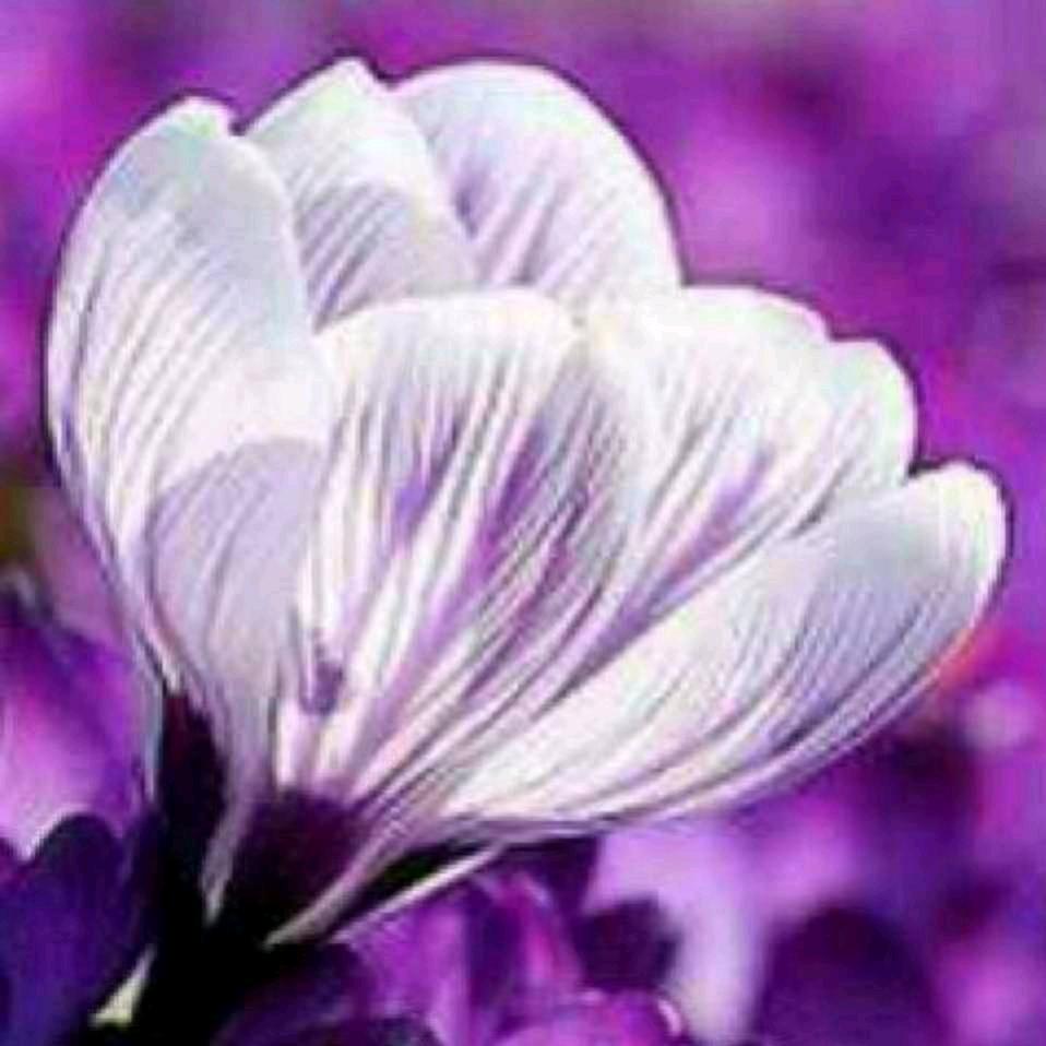 四平萍姐捡漏房源