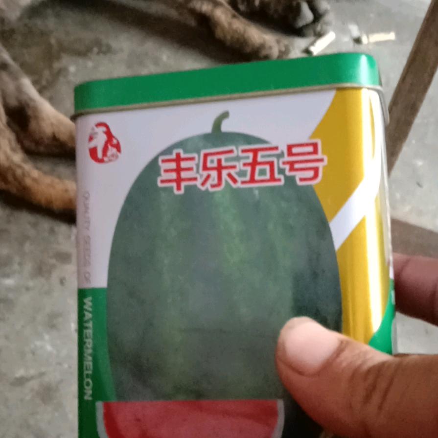 飞^0^哥