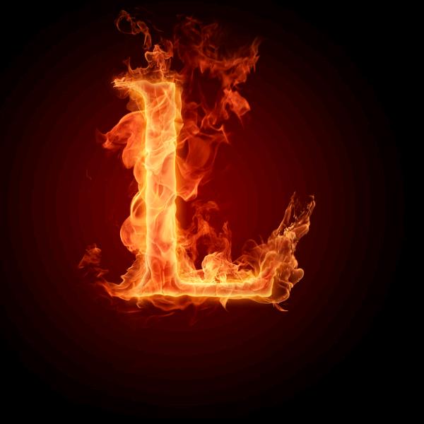 🐝酿得百花终成蜜🐝