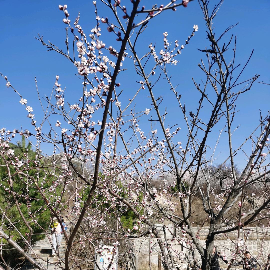 知易行难