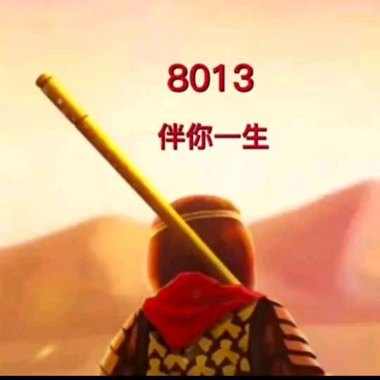 ⚜️彪哥❄️8013