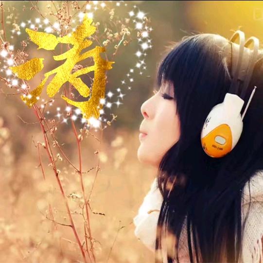 白河之南