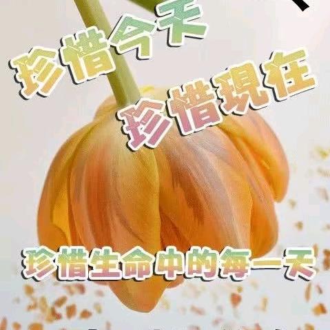 日久见人心