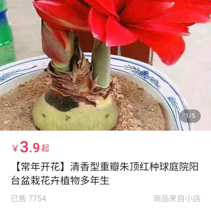 春天阳光