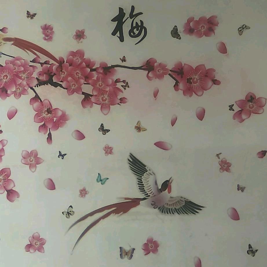 70后✨朱春梅✨