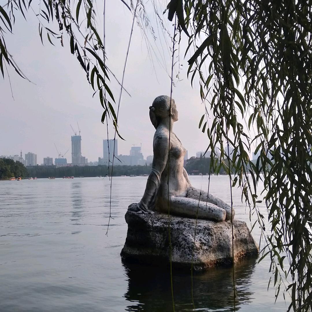 小龙女