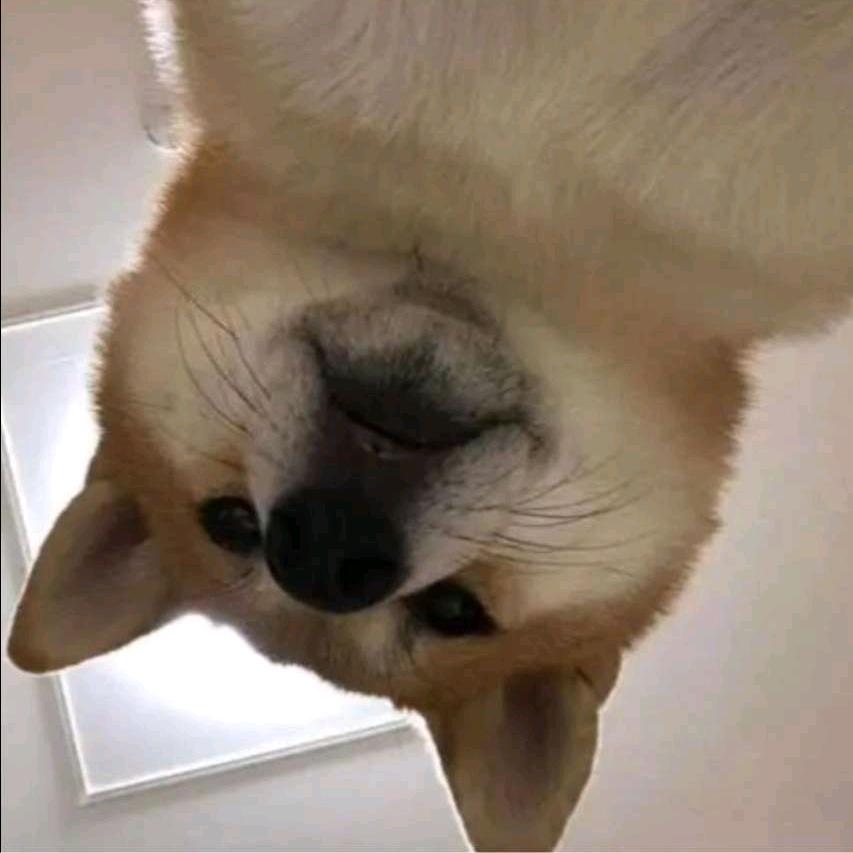 青岛恺丰达二手车行