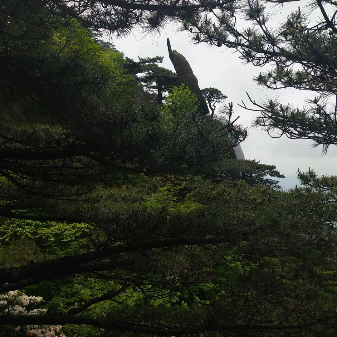 一生有李