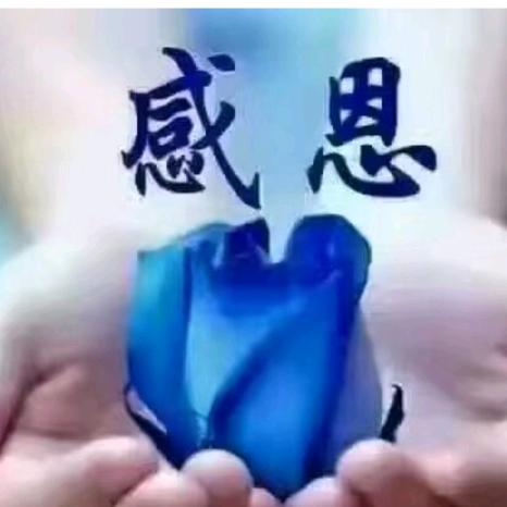 玲姐