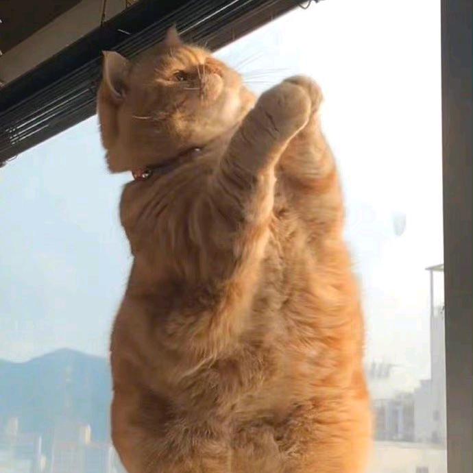 想暴富的小咸鱼头像