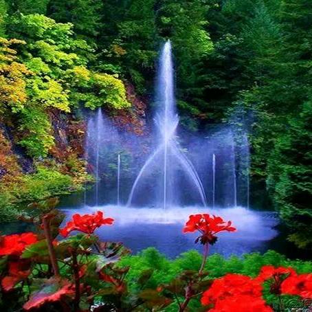 心想好事成的程