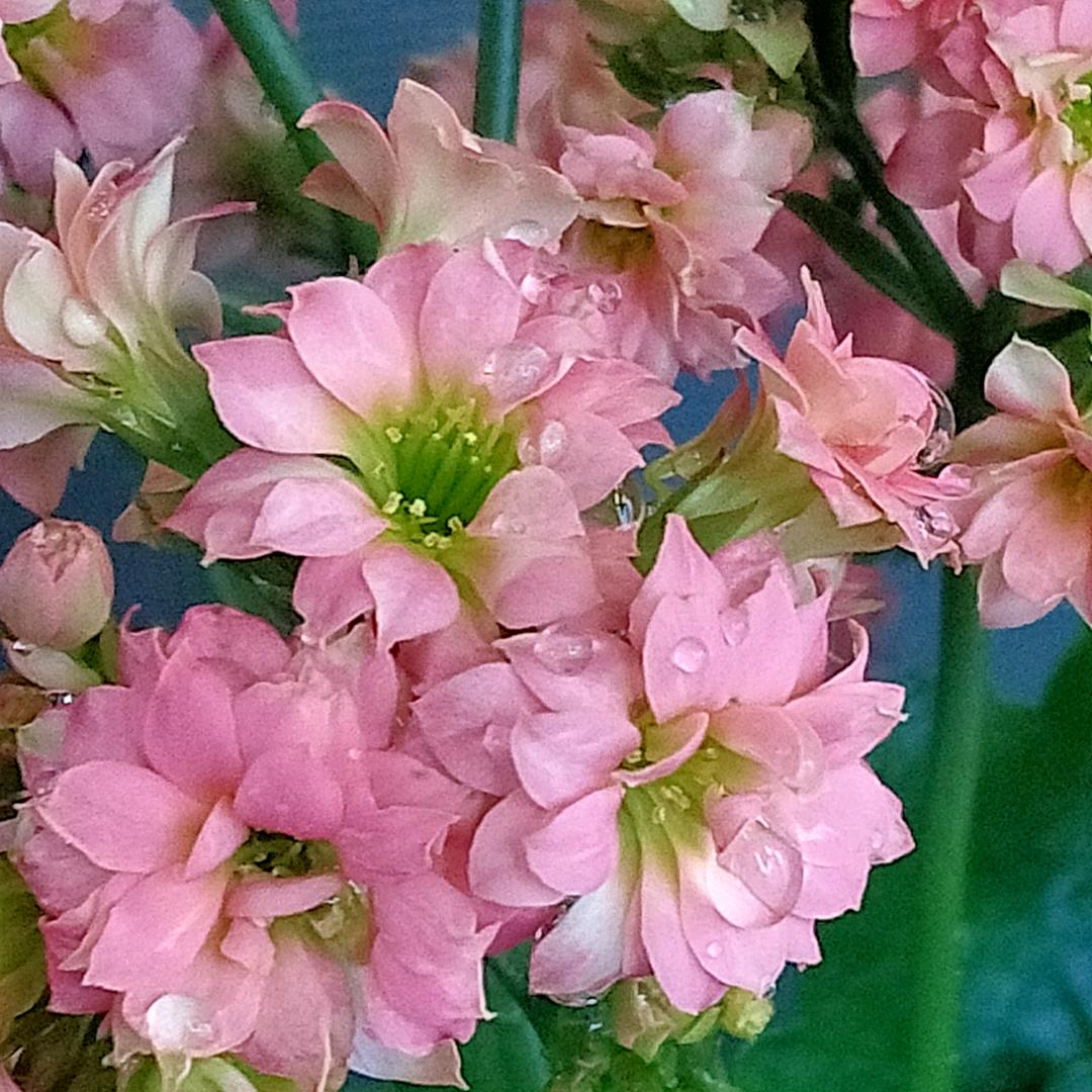 @坦然对待63208149364